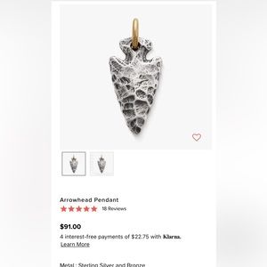 Brand new James every arrow head charm